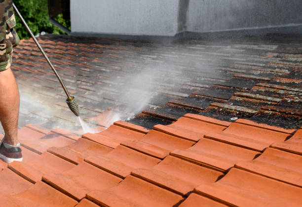 Best Residential Pressure Washing Services  in Hawkinsville, GA