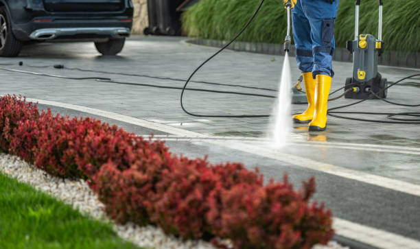 Best Pressure Washing Near Me  in Hawkinsville, GA